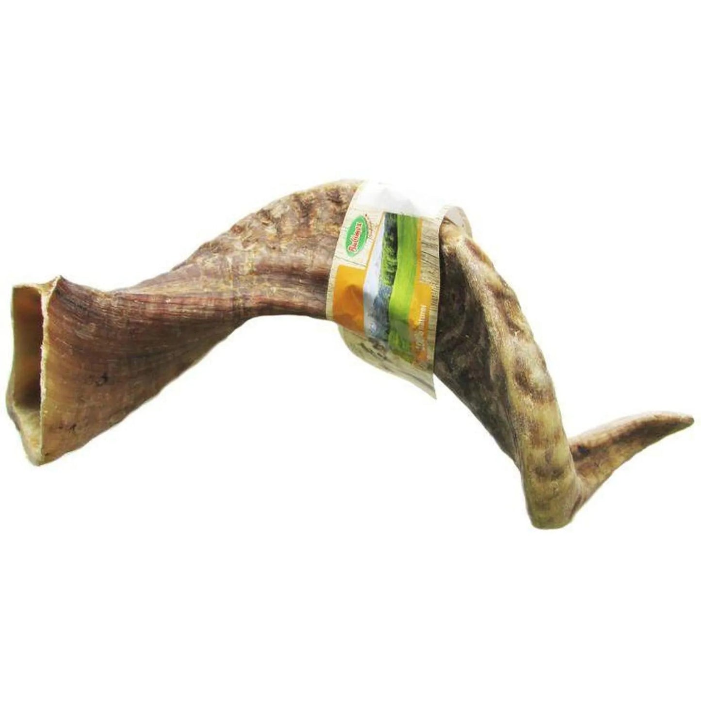 ZOOMALIN Corne de Mouton L >200g Friandise Naturelle pour Chien