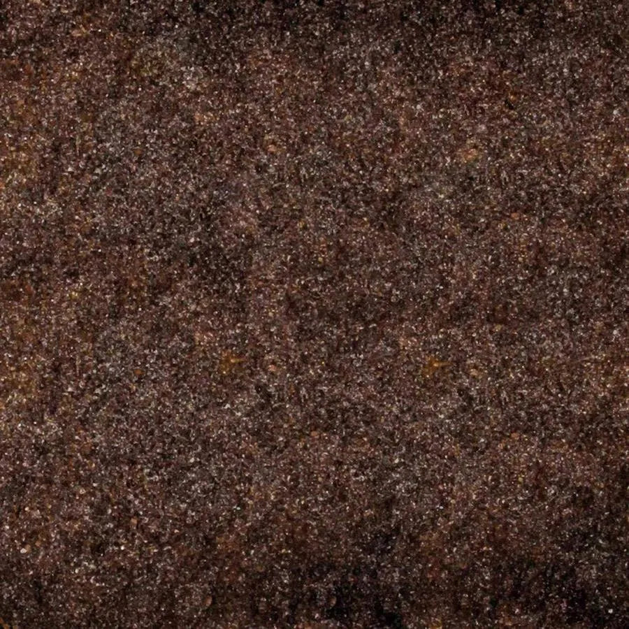 TRIXIE Humus naturel Substrat naturel pour terrarium 10L