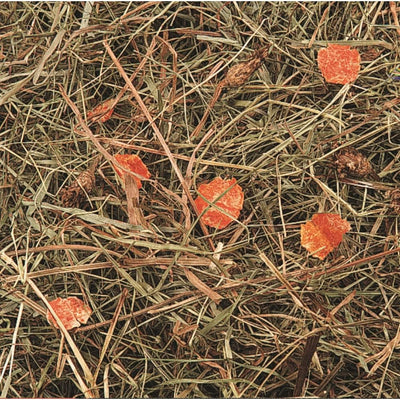 FLAMINGO Foin de montagne avec carottes 500g