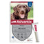 BAYER Advantix Pipettes Antiparasitaires Chien 25-40 kg 4x4 ml