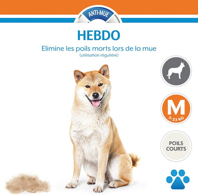 FURMINATOR Outil Undercoat deShedding Chien Medium Poils Courts