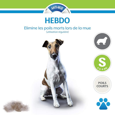 FURMINATOR Outil Undercoat deShedding Chien S Poils Courts