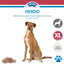 FURMINATOR Outil Undercoat deShedding Chien XL Poils Courts