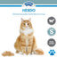 FURMINATOR Outil de Toilettage Pour Chat de Petite Taille à Poils Longs S Premium