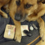 KIKKERLAND Welcome to The Family Dog Kit