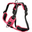 BOBBY Harnais Rando Walk XS Rose Nylon Réfléchissant Boucles Réglables