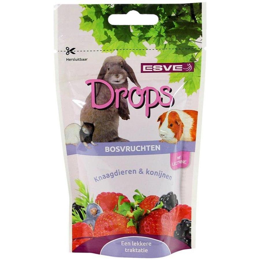 HAMIFORM ESVE Drops Fruits des Bois pour Rongeurs 100g