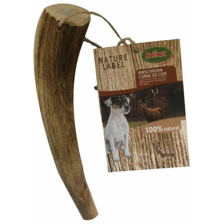 Bois de Cerf Entier – Taille M (80–120 g)