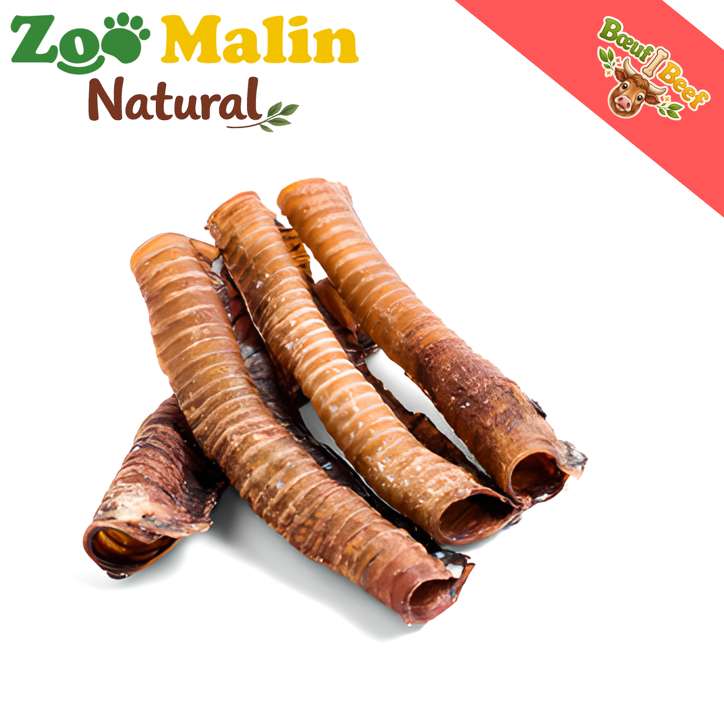 ZOOMALIN Trachée de Bœuf 8cm