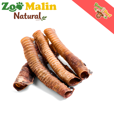 ZOOMALIN Trachée de Bœuf 8cm