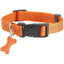 Collier Safe – Sécurité Chien