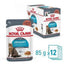 ROYAL CANIN Urinary Sauce Chat Adulte 12x85g