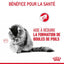 ROYAL CANIN Hairball Care Sauce 12x85g