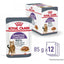 ROYAL CANIN Appetite Control Care Sauce 12x85g