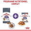 ROYAL CANIN Appetite Control Care Sauce 12x85g