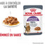 ROYAL CANIN Appetite Control Care Sauce 12x85g