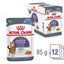 ROYAL CANIN Appetite Control Care Gelée 12x85g