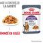 ROYAL CANIN Appetite Control Care Gelée 12x85g