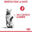 ROYAL CANIN Appetite Control Care Gelée 12x85g