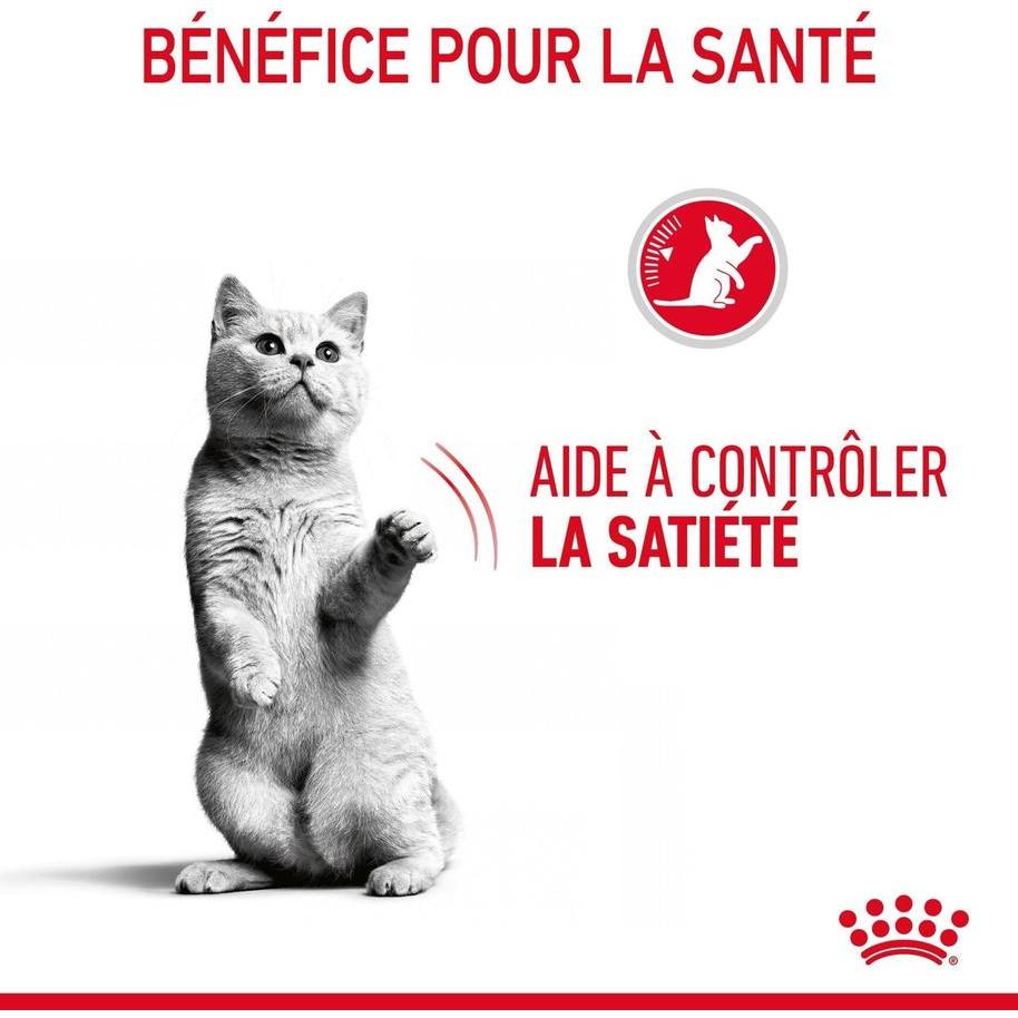 ROYAL CANIN Appetite Control Care Gelée 12x85g