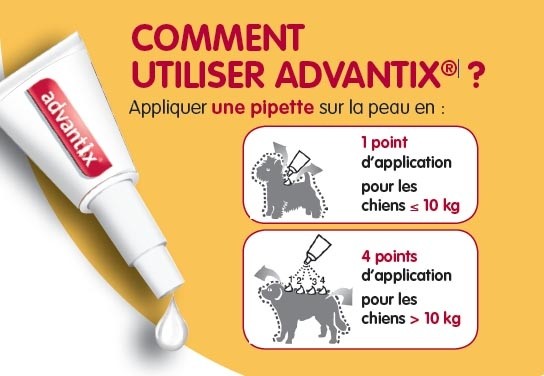 BAYER Advantix Pipettes Antiparasitaires Chien 25-40 kg 4x4ml