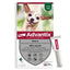 BAYER Advantix Pipettes Antiparasitaires Chien 4-10kg 4 Pipettes
