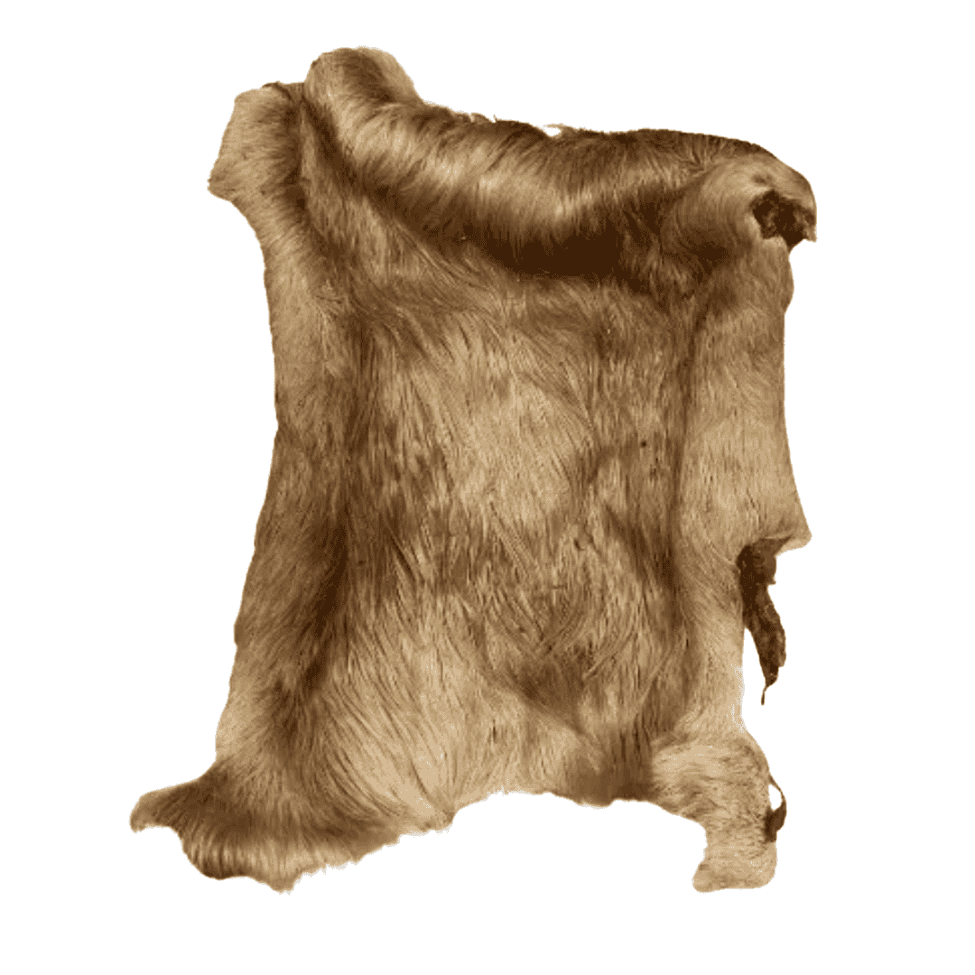 ZOOMALIN Plaque de Peau de Boeuf avec Poils Friandise Naturelle pour Chien 100% Boeuf