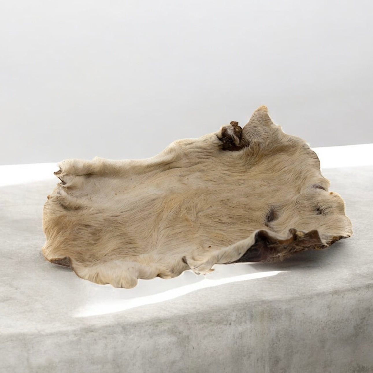 ZOOMALIN Plaque de Peau de Boeuf avec Poils Friandise Naturelle pour Chien 100% Boeuf