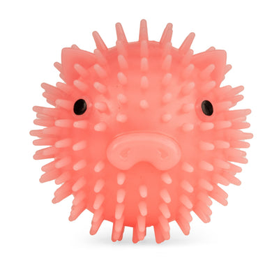 KIKKERLAND Piggy Dog Ball Balle pour Chien Parfumée Bacon Squeak Long 9cm