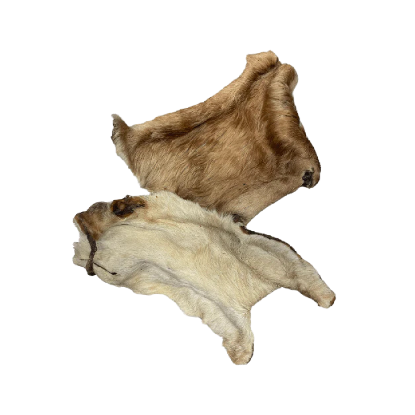 ZOOMALIN Plaque de Peau de Boeuf avec Poils Friandise Naturelle pour Chien 100% Boeuf