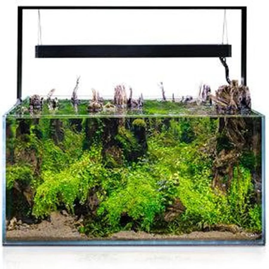 AQUARIUM ULTRASCAPE 90 SET FOREST 240L AQUAEL