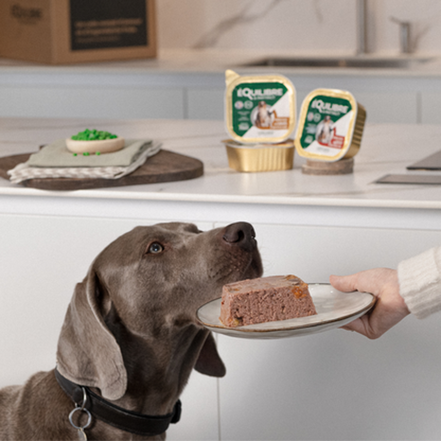 EQUILIBRE & INSTINCT Terrine pour chien adulte riche en gibier & haricots verts 300g