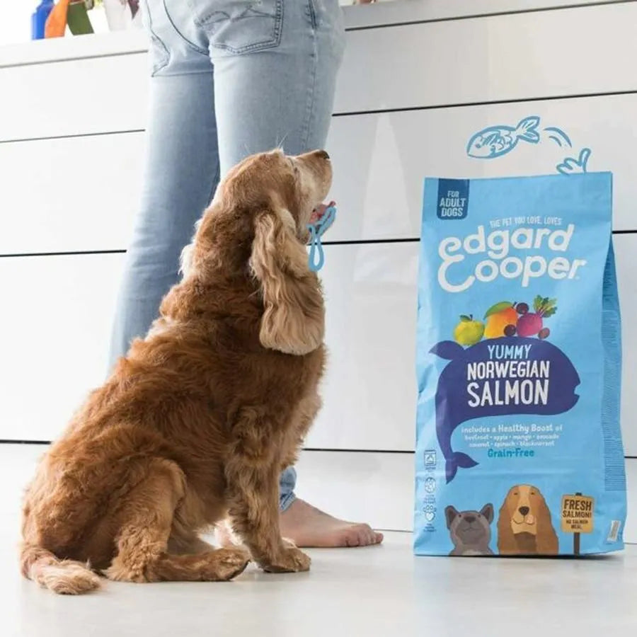 EDGARD COOPER Croquettes Sans Céréales au Saumon Frais pour Chien Adulte 12kg