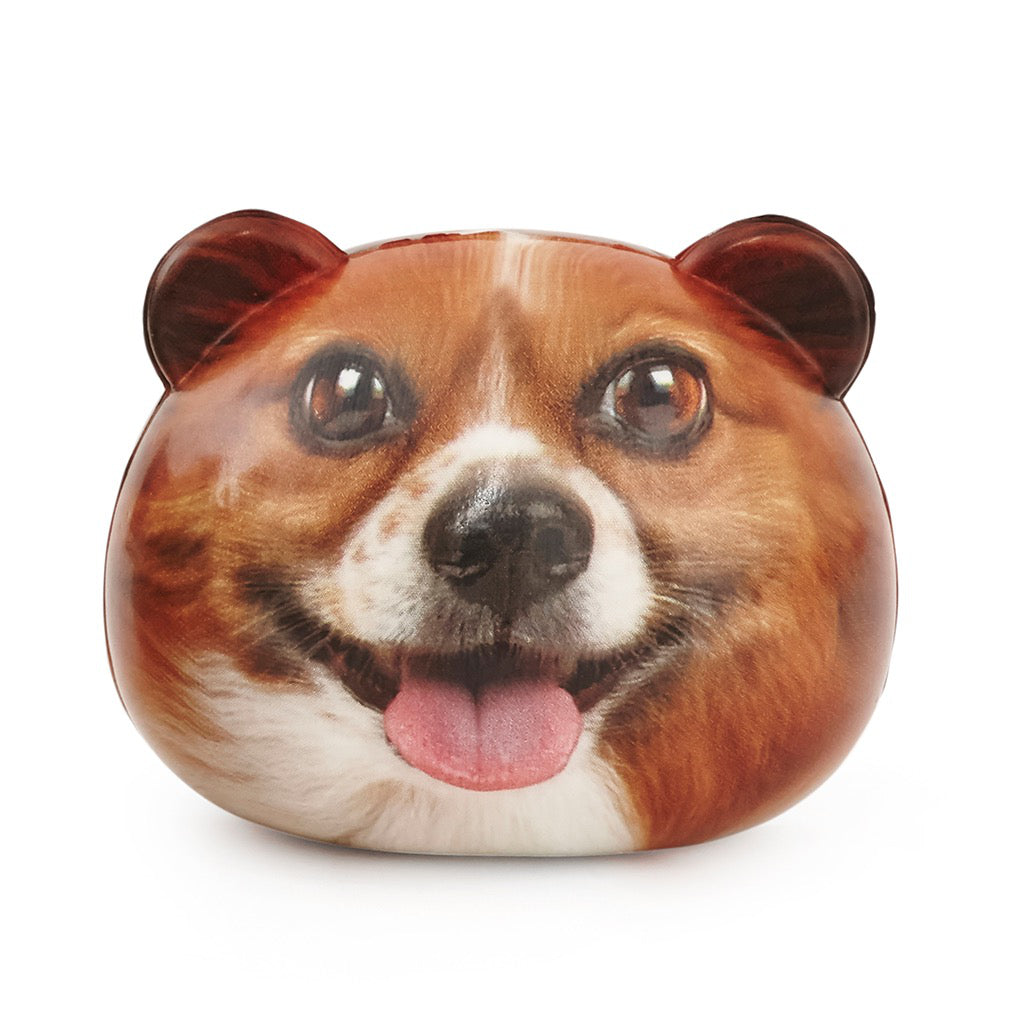 KIKKERLAND Feeling Ruff? Stress Balls Balles anti-stress chien Assortis PU 8,5x6,7x7,7cm