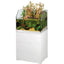 EHEIM Proxima Fauna 113 Blanc 66x51x125cm 8mm 113L avec Meuble