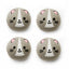 KIKKERLAND Cat Dryer Buddies Boules de Lessive en Laine pour Sèche-Linge Chat Lot de 4