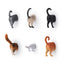 KIKKERLAND Kiko Rechargeable Pounce&Play Laser pour Chats 3 Modes 5 Formes Rechargeable
