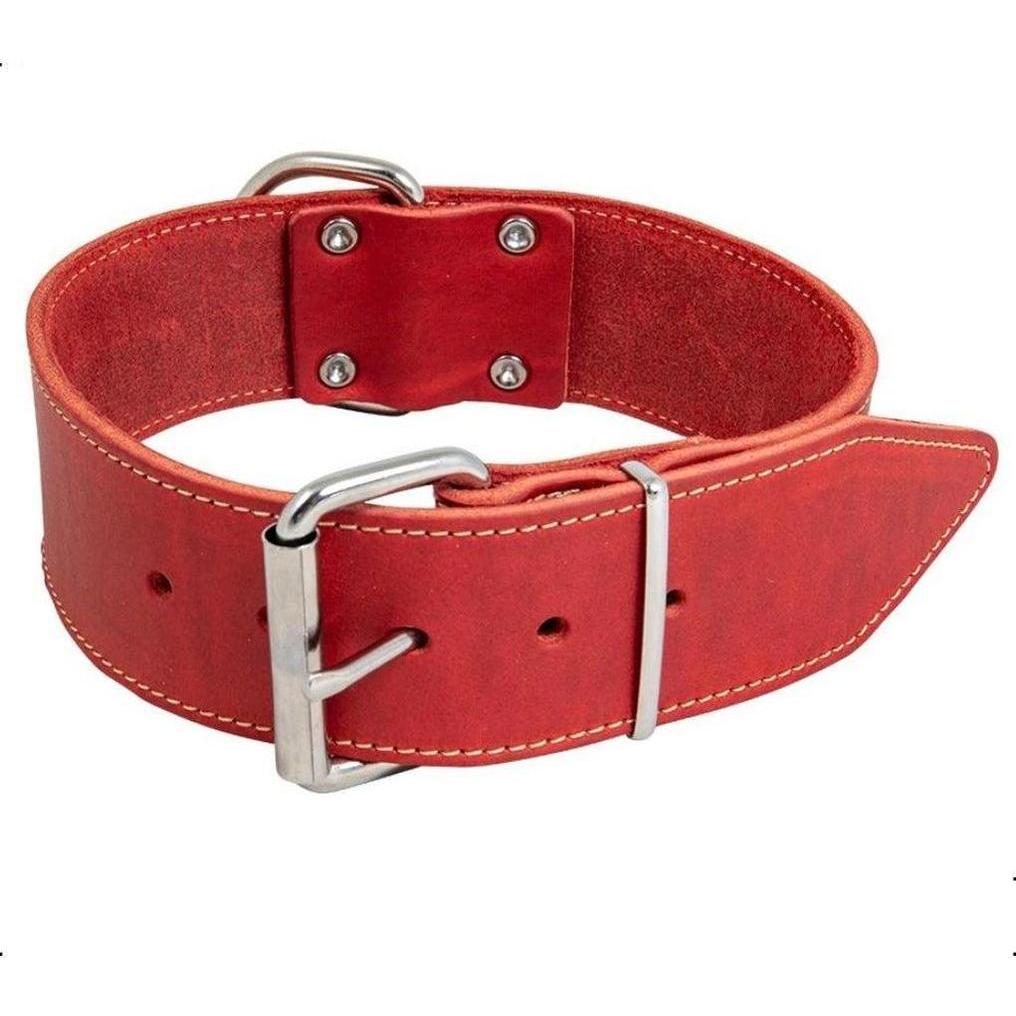 ZOOMALIN Collier Large Cuir Gras Rouge 50mm x 60cm