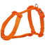 Harnais Premium H – Nylon Rembourré (Réglable)