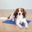TRIXIE Tapis rafraîchissant pour chien et chat 50 × 40 cm Bleu
