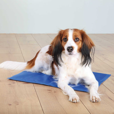 TRIXIE Tapis rafraîchissant pour chien et chat 65 × 50 cm Bleu