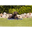 TRIXIE Tapis rafraîchissant pour chien et chat 90 × 50 cm Bleu