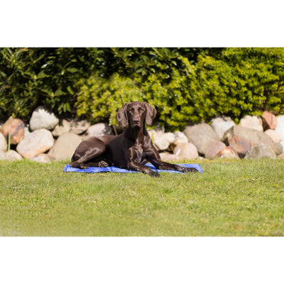 TRIXIE Tapis rafraîchissant pour chien et chat 90 × 50 cm Bleu