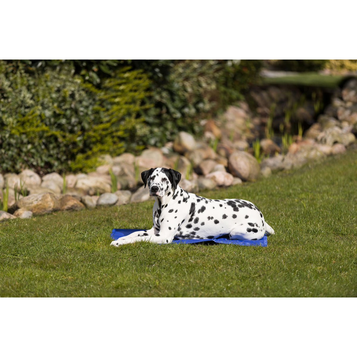 TRIXIE Tapis rafraîchissant pour chien et chat 90 × 50 cm Bleu