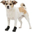 Bottes de Protection Walker Active – Taille S/M (x2, Noir)