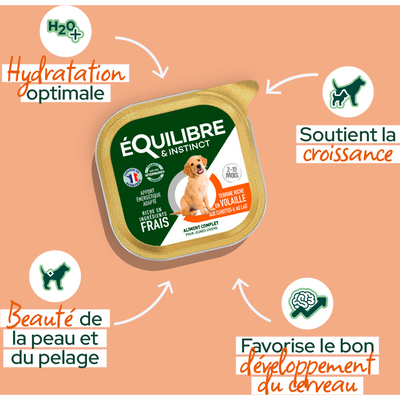EQUILIBRE & INSTINCT Terrine pour jeune chien riche en volaille, carottes & lait 300g