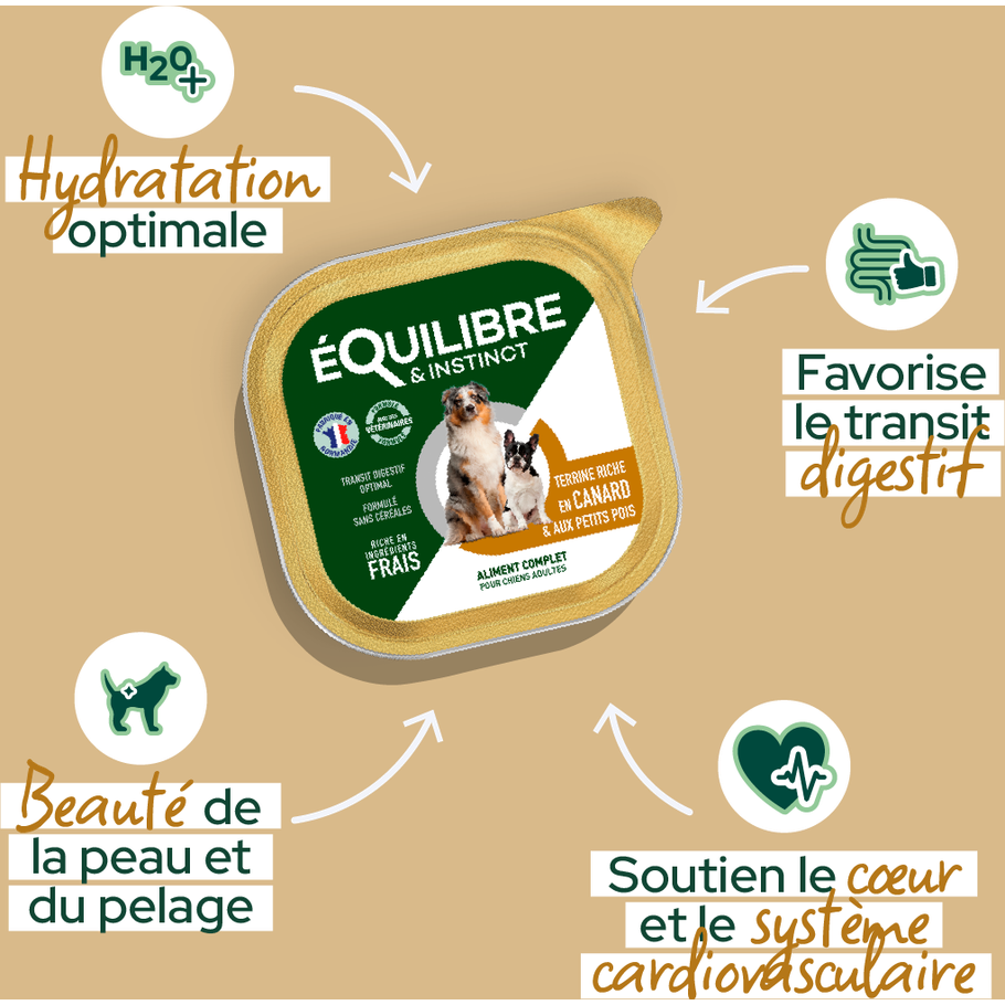EQUILIBRE & INSTINCT Terrine pour chien adulte riche en canard & petit pois 300g