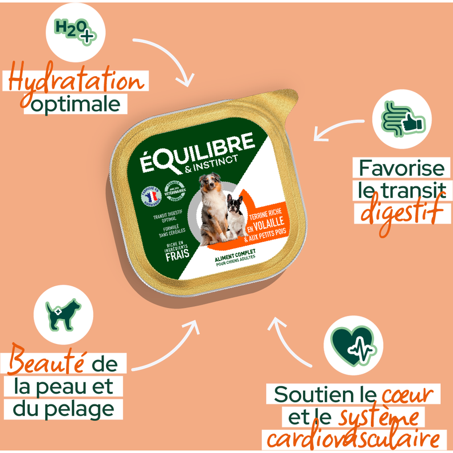EQUILIBRE & INSTINCT Terrine BIO pour chien adulte riche en volaille et petits pois 300g