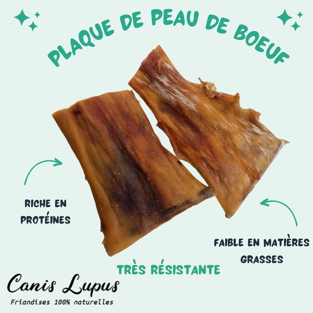 ZOOMALIN Plaque de Peau de Bœuf pour Chien Friandise Naturelle XXL
