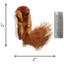 KONG Refillables Squirrel Jouet peluche pour chat multicolore avec herbe à chat rechargeable 7.62x10.16x3.81cm